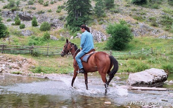 Horseback Riding, Trigrad