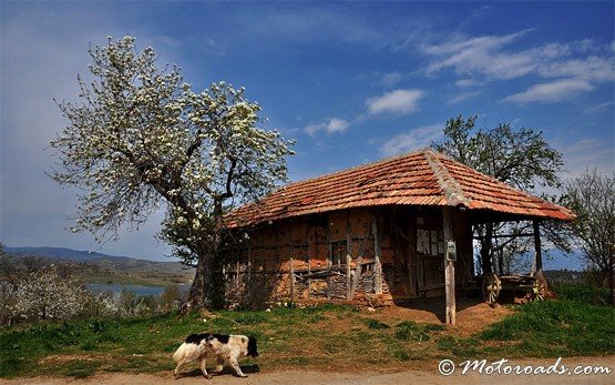 House, Logodazh