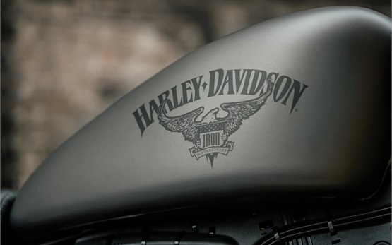 Harley Davidson Sportster Iron 883 - motorcycle rental in Split