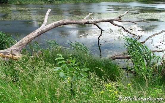 Lake Pancharevo