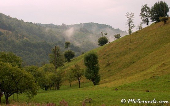 Луга, Рибарица