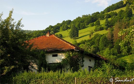 Mountain View, Teteven