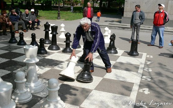Игра в шахматы-Стара Загора