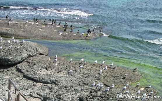 Sea View, Town of Kiten