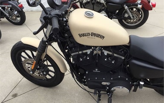 Harley Davison Sportster Iron 883 - alquiler de motos en Chipre