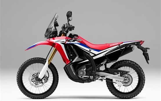 Honda CRF 250 Rally motorcycle rent Antalya