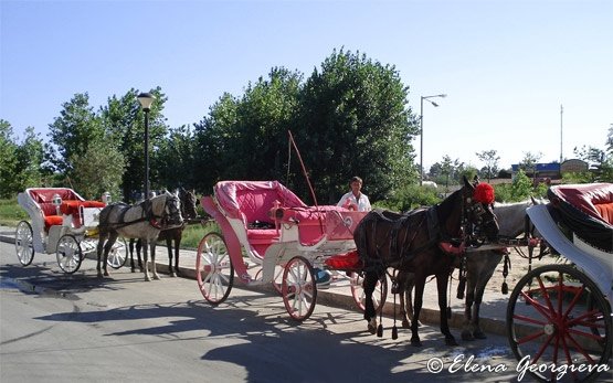 Street, Sunny Beach