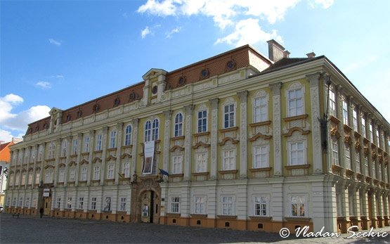 Timisoara's Center