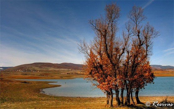 Village of Logodazh