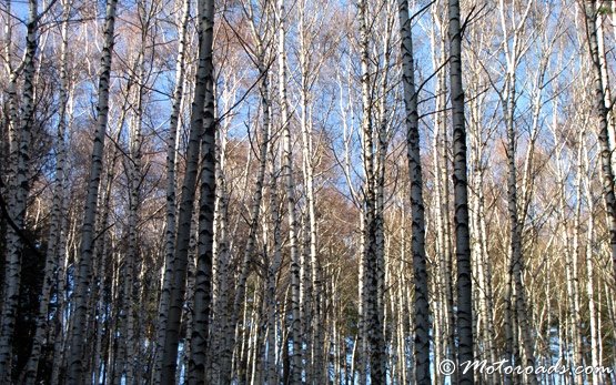 Vitosha Mountain