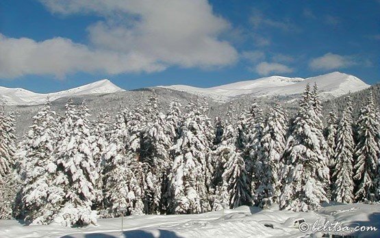 Winter in Semkovo