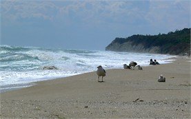 Black Sea - Beach