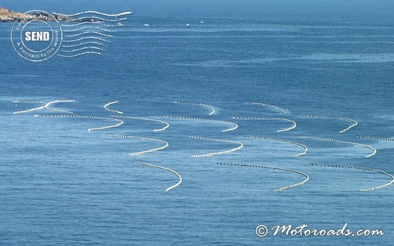 Mussel farm - Black Sea