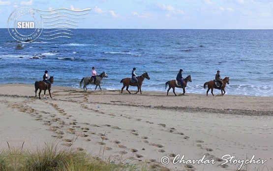 Black Sea Tour - Horseback riding