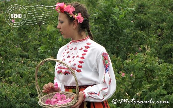 Момиче в поле от рози, Казанлък