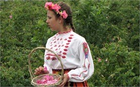 Girl in a rose field in Kazanlak