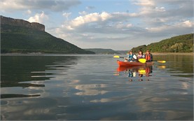 Guided kayak tours 