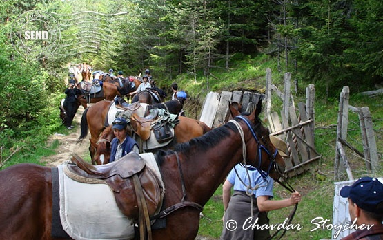 Horseback riding in Bulgaria