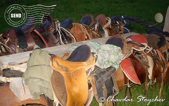 Horseback riding in Bulgaria