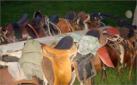 Horseback riding in Bulgaria