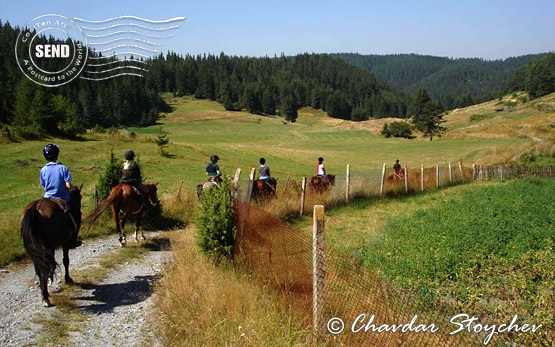 Horseback riding in the mountains