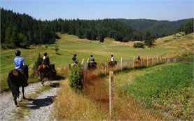 Horseback riding in the mountains