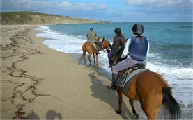 Катание на лошадях - побережье Черного моря