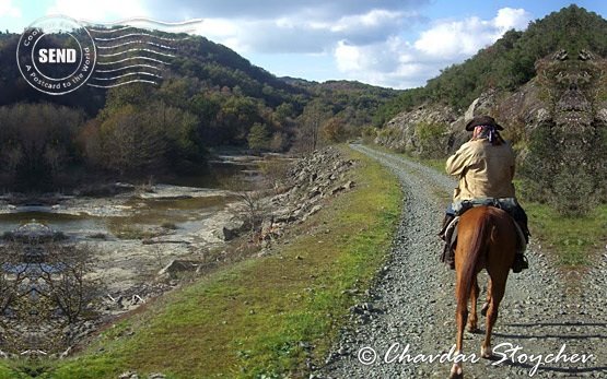 Horseback riding - people on tours