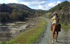 Horseback riding - people on tours