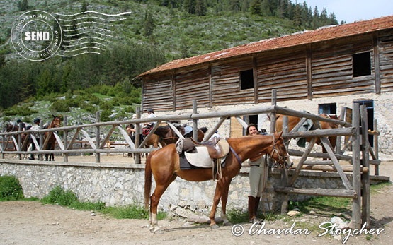Horseback riding stable