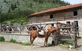 Horseback riding stable