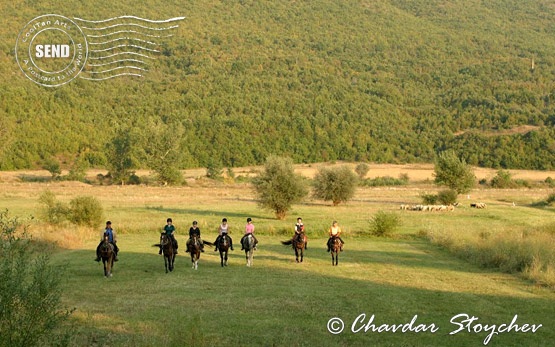 Horseback riding tours