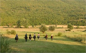 Horseback riding tours