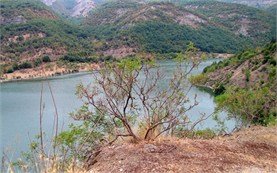 Kurdjali Lake