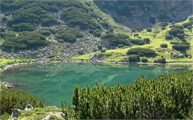 Lake - Rila mountain