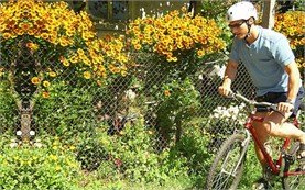 People on bicycle tours in Bulgaria