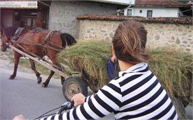 Люди на велосипедные туры