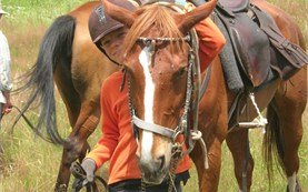 People on tours - Horseback riding