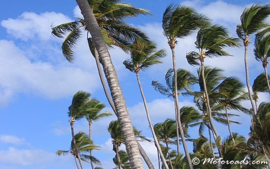 Punta Cana 