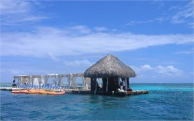 Punta Cana Tours