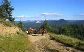 Rhodopes mountains