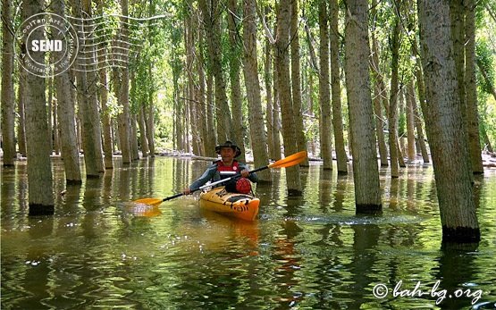 River kayak tours