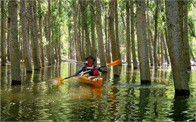River kayak tours