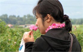 Rose festival in June, Bulgaria