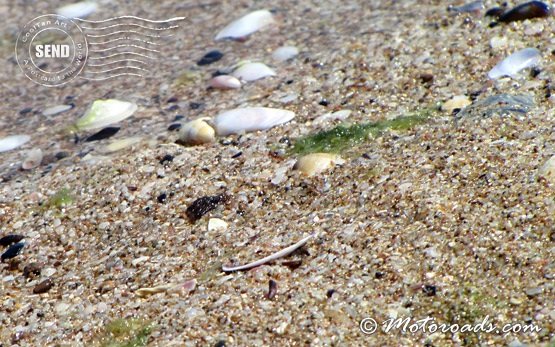 Sand - Black Sea