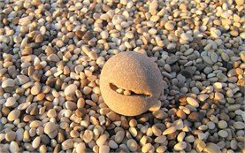 Smiling stone on the beach