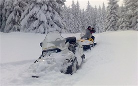 Разходки с моторни шейни в България