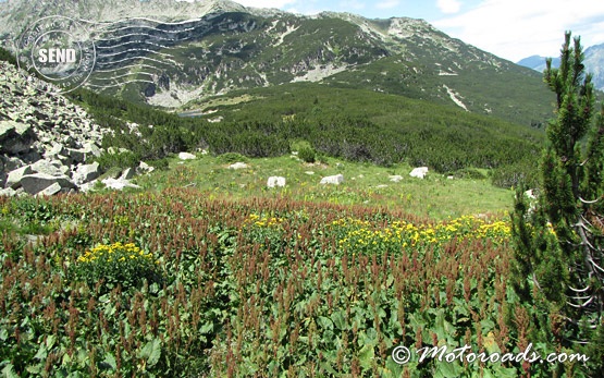 Trekking in Pirin mountain