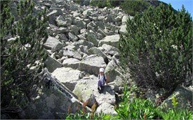 Trekking  in Pirin