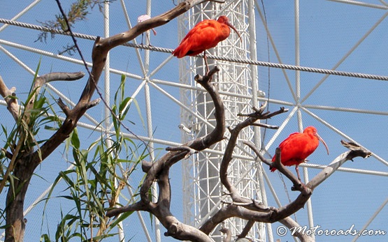 Valencia - Zoo and Oceanarium